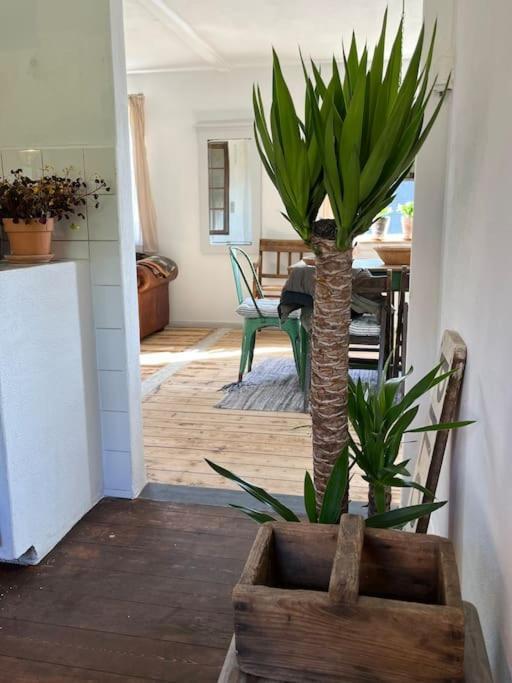 The Old Soap House - Stylish And Close To Beach Vang  Bagian luar foto